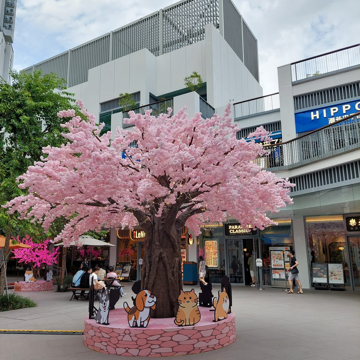 Statistics (Busking Chase - Season 1)